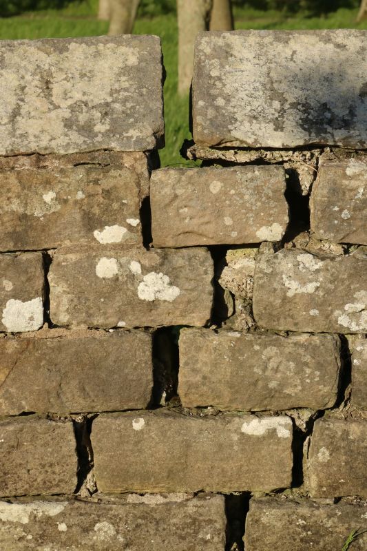 Stone Wall Repair in Santa Rosa, CA